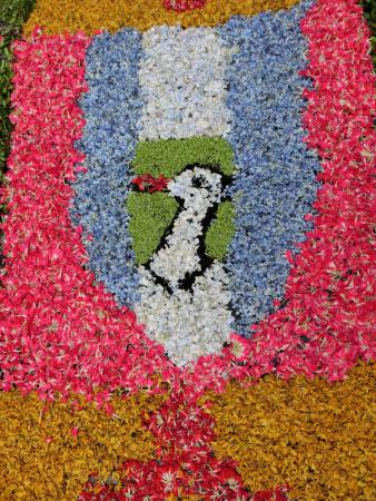 Genazzano Blumenteppich - das Wappen von Vierkirchen