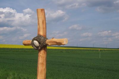 Vierkirchener Baum- und Gehölzweg - Holzkreuz