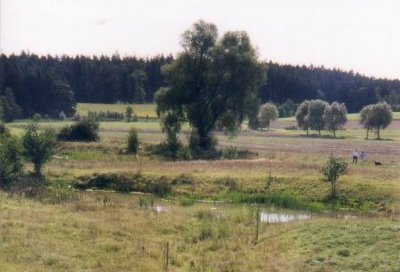Biotopverbund Vierkirchen