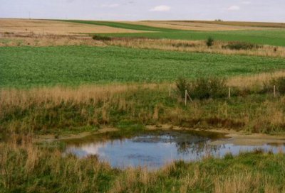 Biotopverbund Vierkirchen