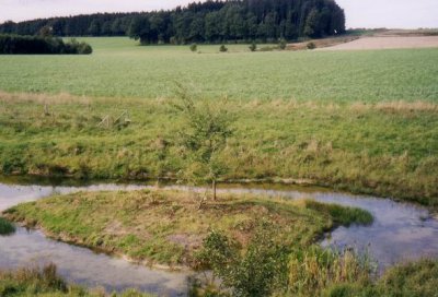 Biotopverbund Vierkirchen