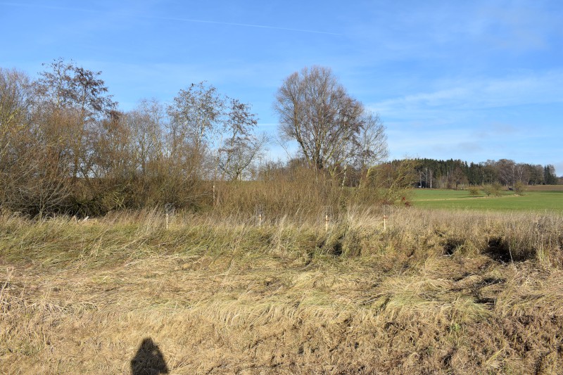 Biotopverbund Vierkirchen